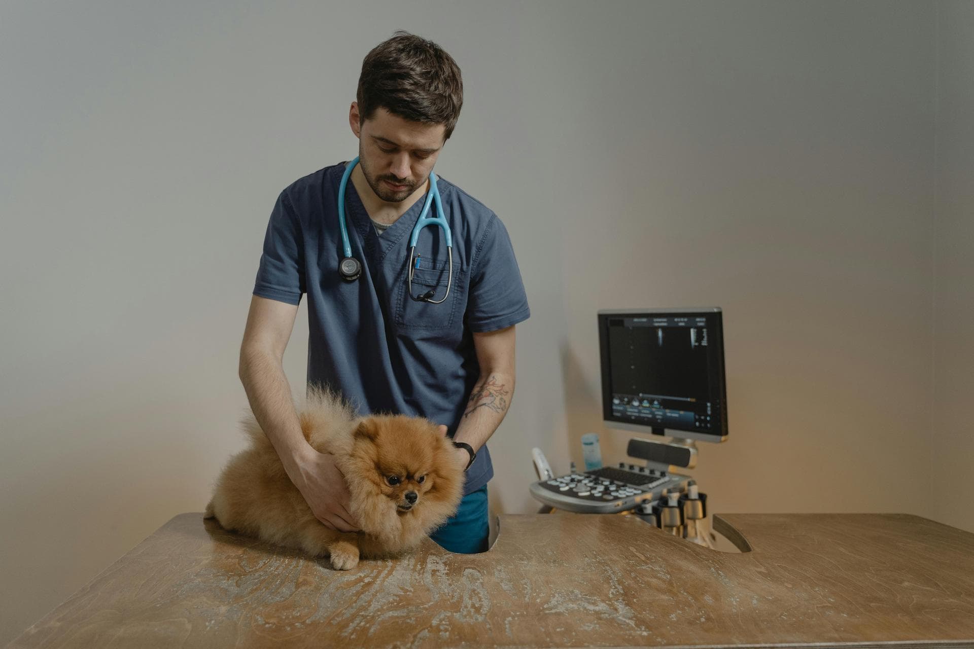 Best Vets in St. George